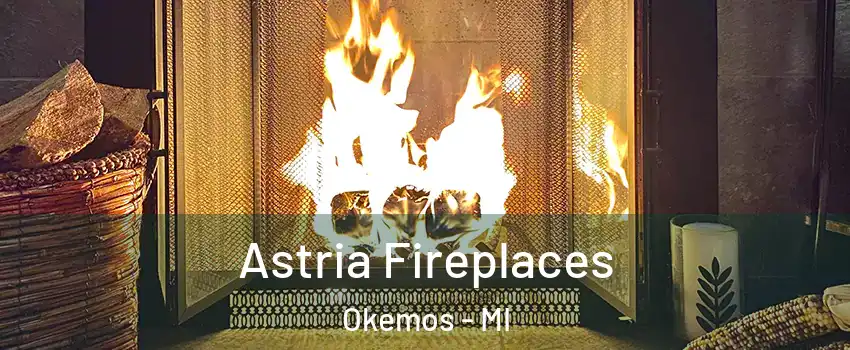  Astria Fireplaces Okemos - MI