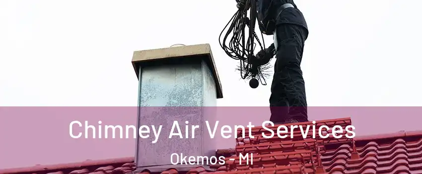  Chimney Air Vent Services Okemos - MI