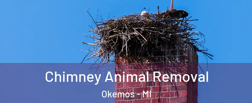 Chimney Animal Removal Okemos - MI