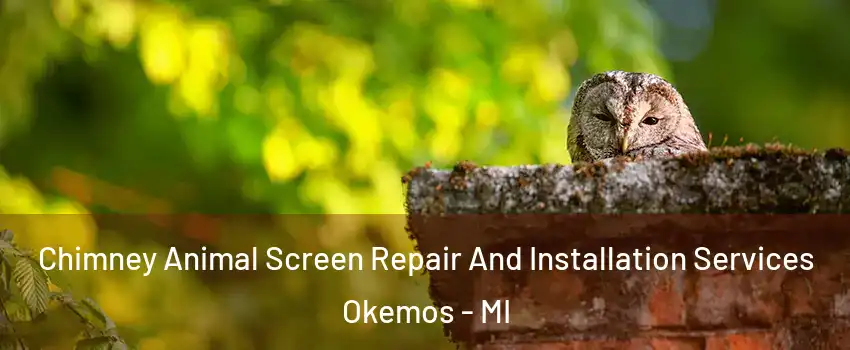  Chimney Animal Screen Repair And Installation Services Okemos - MI