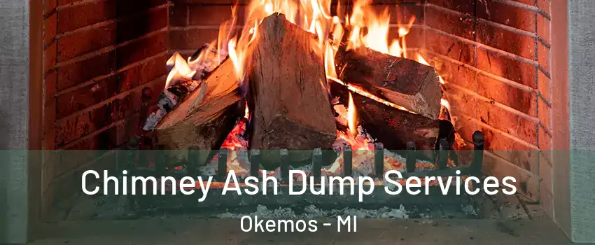  Chimney Ash Dump Services Okemos - MI