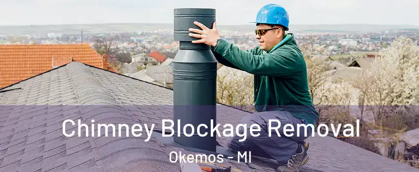 Chimney Blockage Removal Okemos - MI
