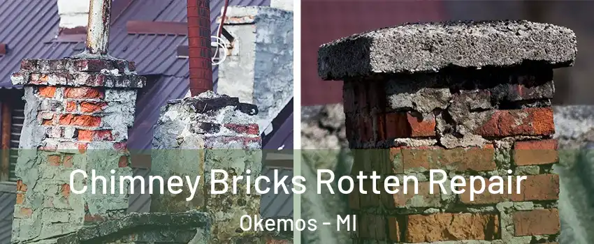  Chimney Bricks Rotten Repair Okemos - MI