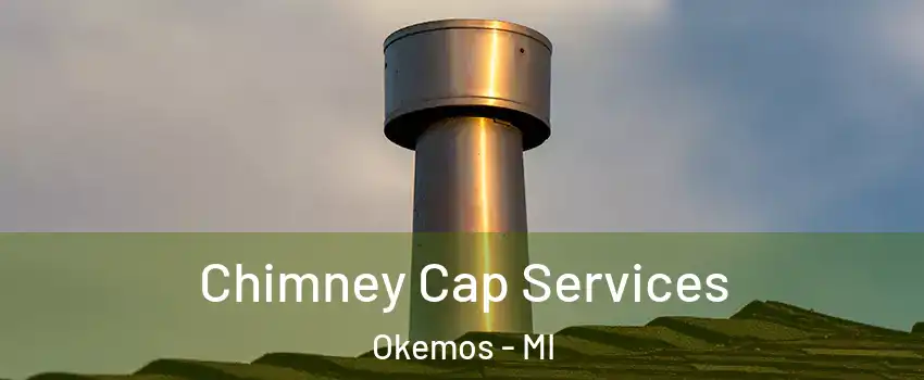  Chimney Cap Services Okemos - MI