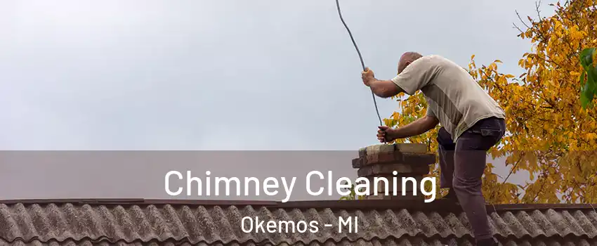  Chimney Cleaning Okemos - MI
