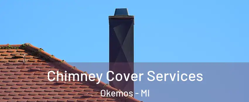  Chimney Cover Services Okemos - MI