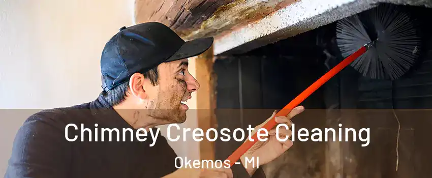 Chimney Creosote Cleaning Okemos - MI