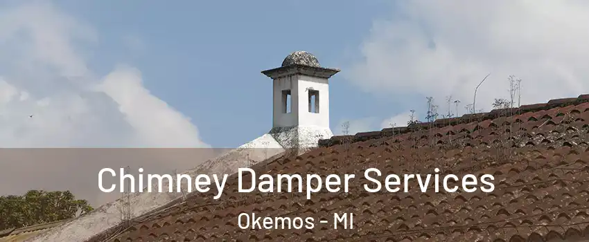  Chimney Damper Services Okemos - MI
