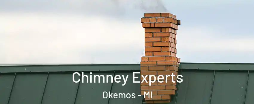  Chimney Experts Okemos - MI