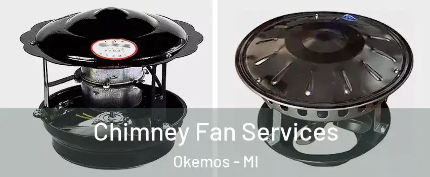  Chimney Fan Services Okemos - MI