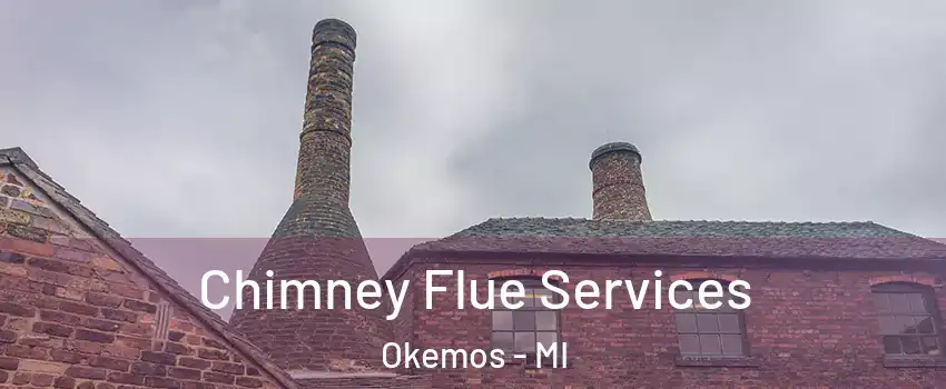  Chimney Flue Services Okemos - MI