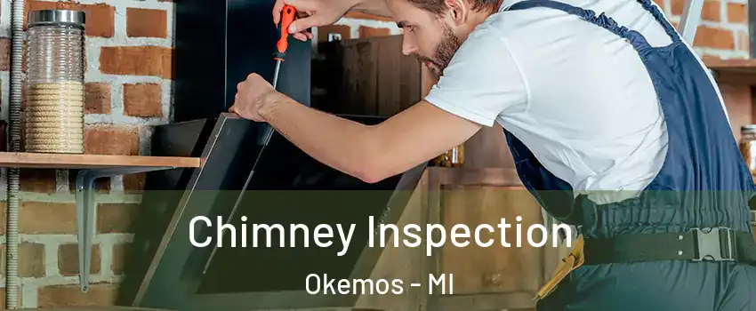  Chimney Inspection Okemos - MI