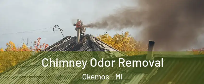  Chimney Odor Removal Okemos - MI