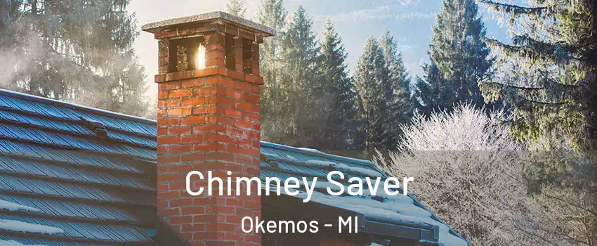  Chimney Saver Okemos - MI