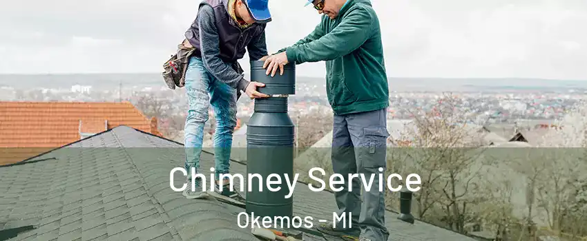  Chimney Service Okemos - MI