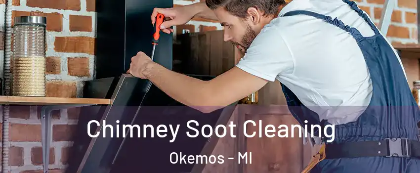  Chimney Soot Cleaning Okemos - MI