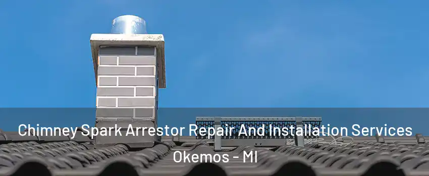  Chimney Spark Arrestor Repair And Installation Services Okemos - MI