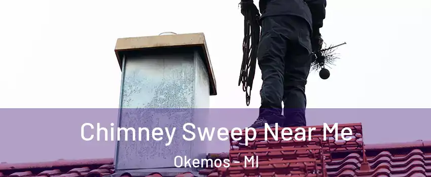  Chimney Sweep Near Me Okemos - MI