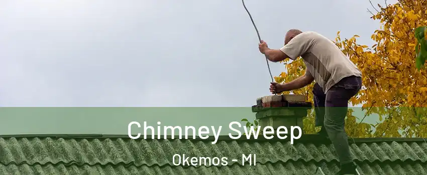  Chimney Sweep Okemos - MI