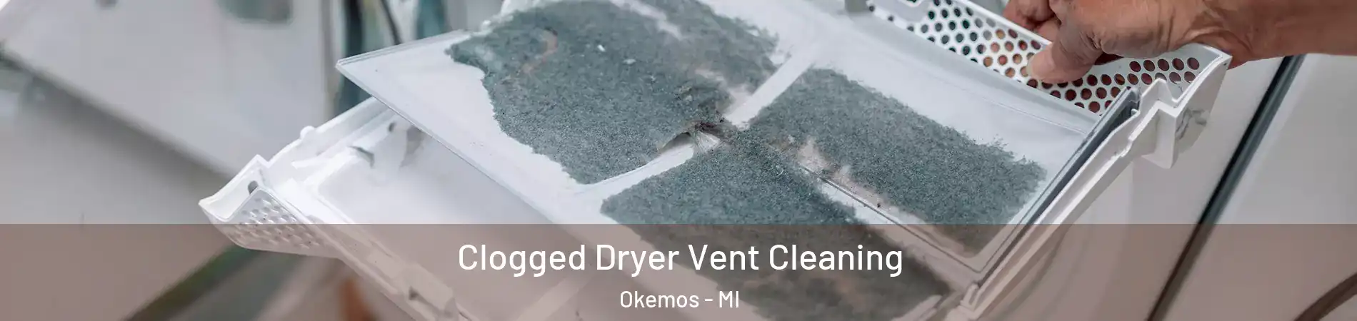 Clogged Dryer Vent Cleaning Okemos - MI