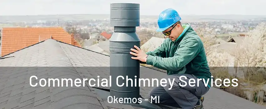  Commercial Chimney Services Okemos - MI