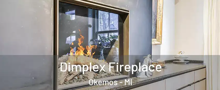  Dimplex Fireplace Okemos - MI