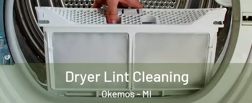  Dryer Lint Cleaning Okemos - MI