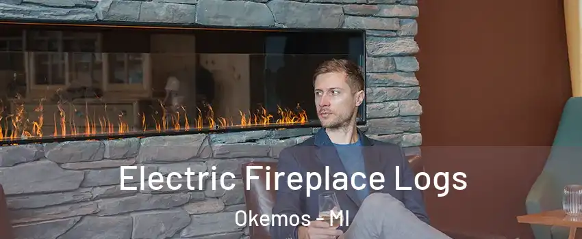  Electric Fireplace Logs Okemos - MI