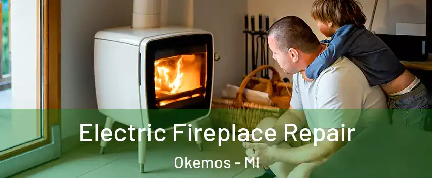  Electric Fireplace Repair Okemos - MI