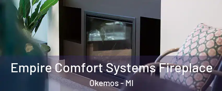  Empire Comfort Systems Fireplace Okemos - MI