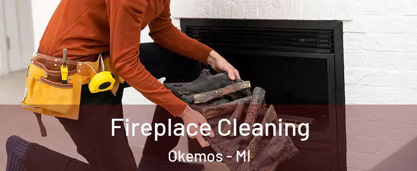  Fireplace Cleaning Okemos - MI