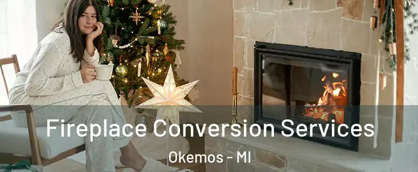  Fireplace Conversion Services Okemos - MI