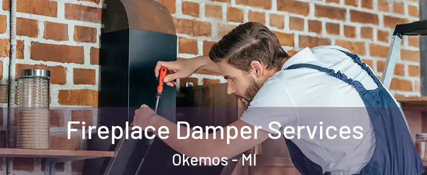  Fireplace Damper Services Okemos - MI
