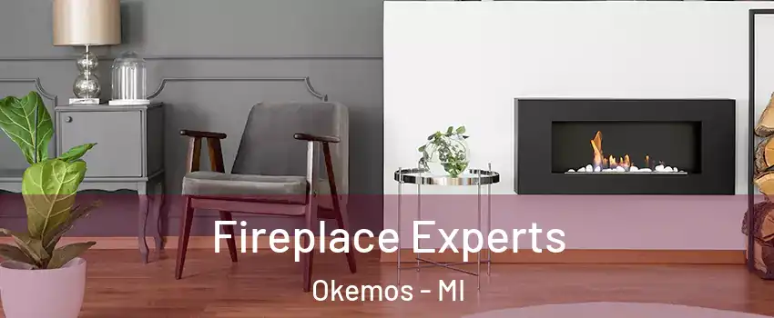  Fireplace Experts Okemos - MI