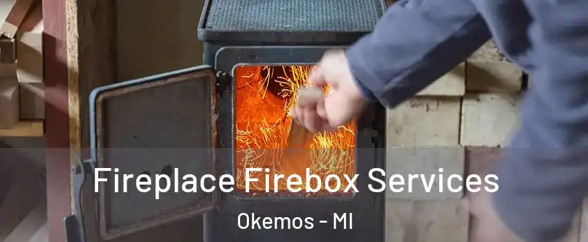  Fireplace Firebox Services Okemos - MI