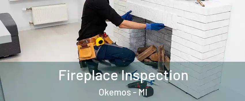  Fireplace Inspection Okemos - MI
