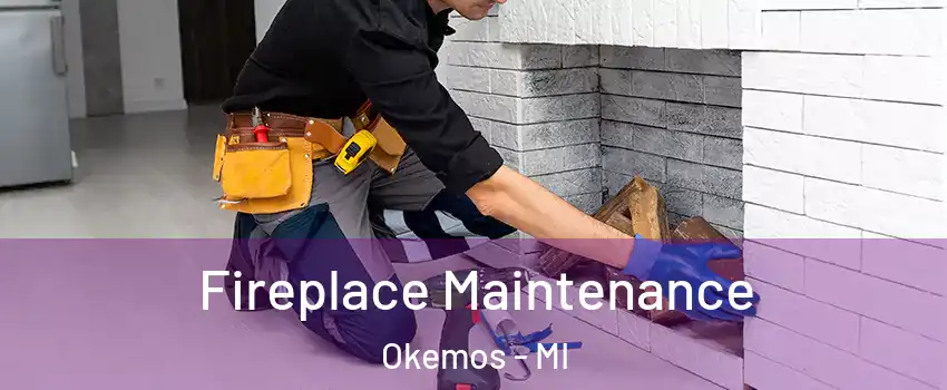  Fireplace Maintenance Okemos - MI