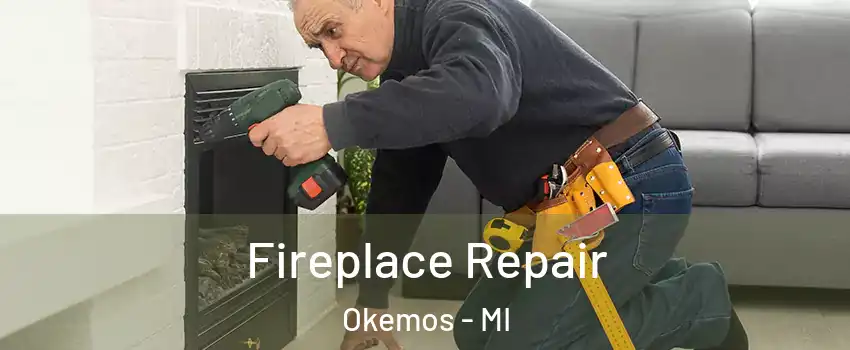 Fireplace Repair Okemos - MI