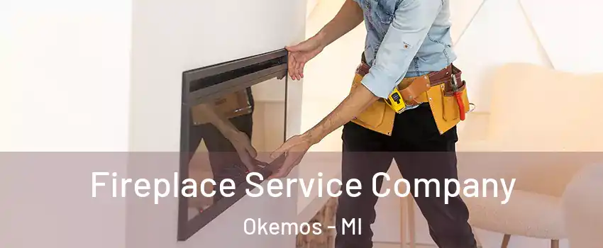  Fireplace Service Company Okemos - MI