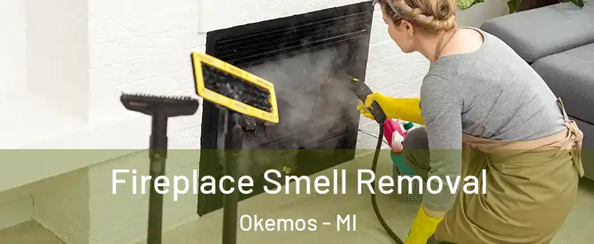  Fireplace Smell Removal Okemos - MI