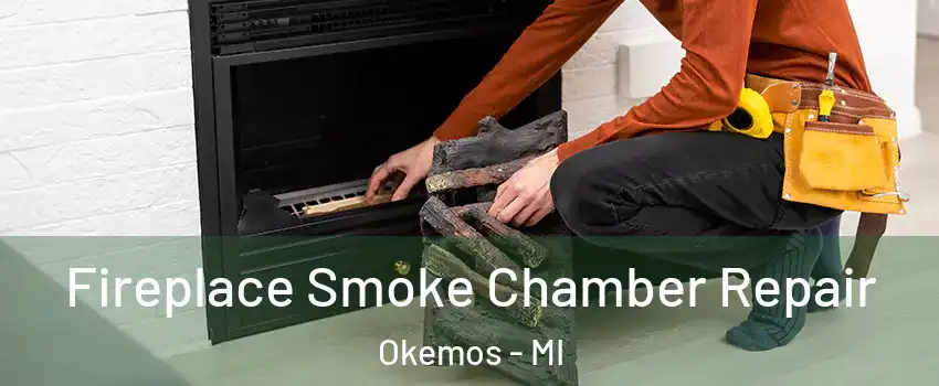  Fireplace Smoke Chamber Repair Okemos - MI