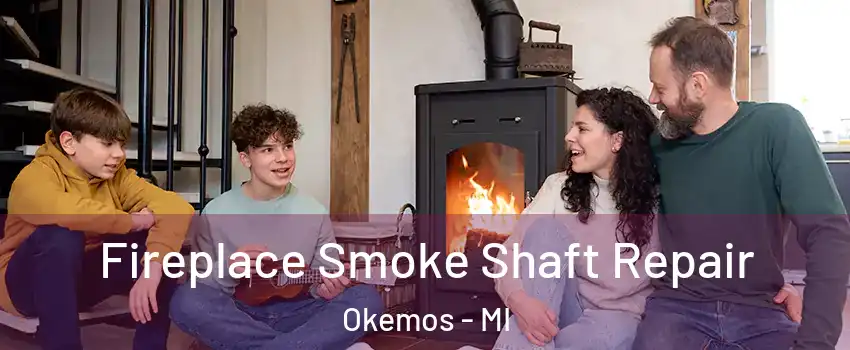  Fireplace Smoke Shaft Repair Okemos - MI