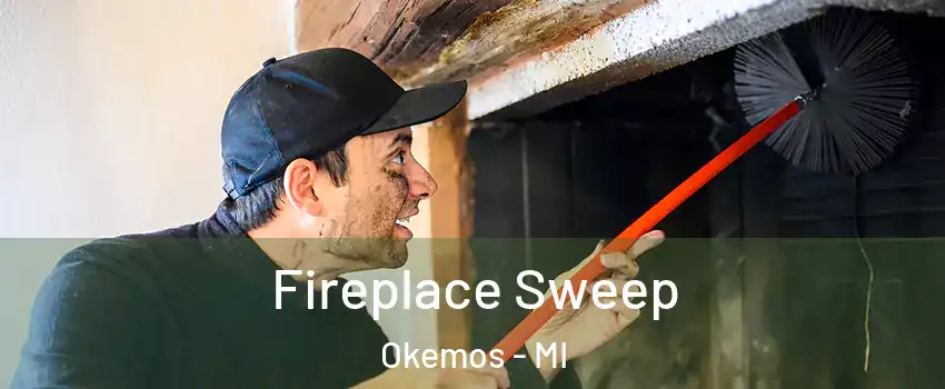  Fireplace Sweep Okemos - MI