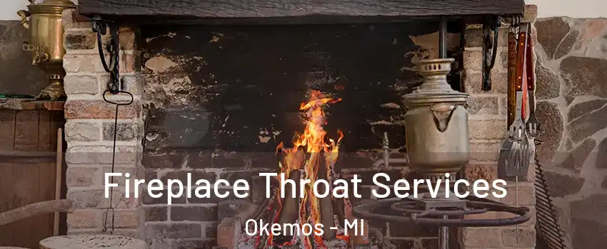  Fireplace Throat Services Okemos - MI