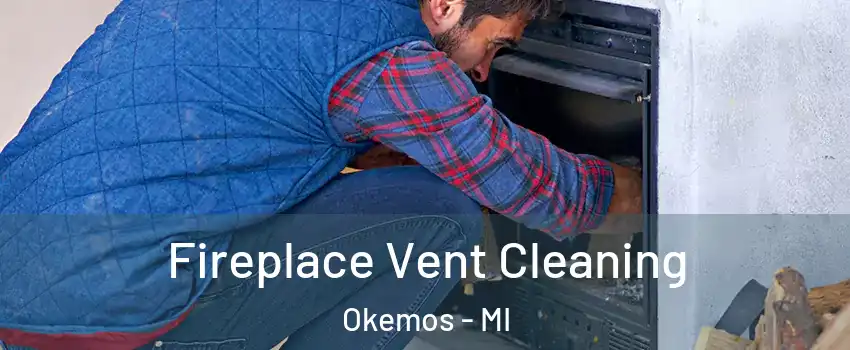  Fireplace Vent Cleaning Okemos - MI