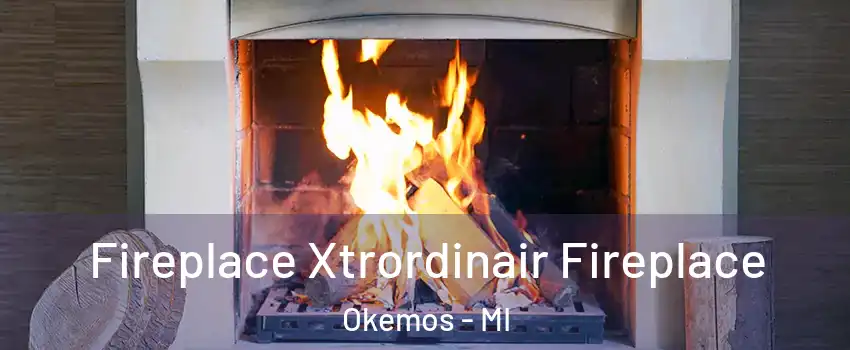  Fireplace Xtrordinair Fireplace Okemos - MI