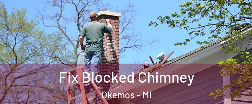  Fix Blocked Chimney Okemos - MI