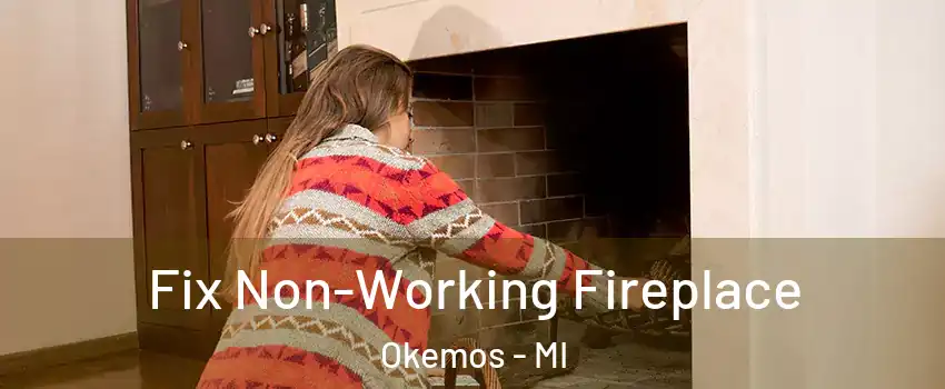  Fix Non-Working Fireplace Okemos - MI