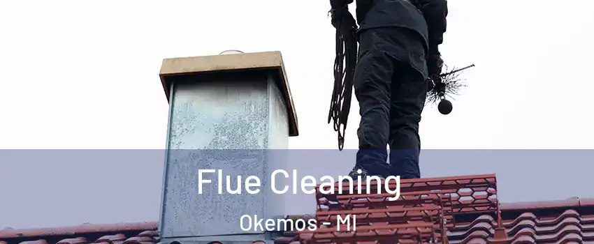  Flue Cleaning Okemos - MI