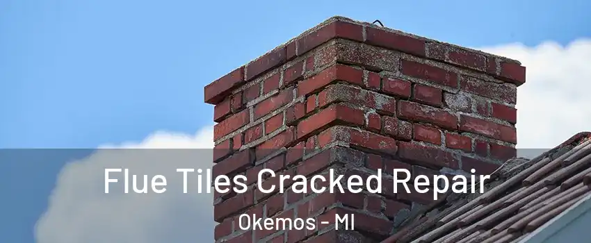  Flue Tiles Cracked Repair Okemos - MI